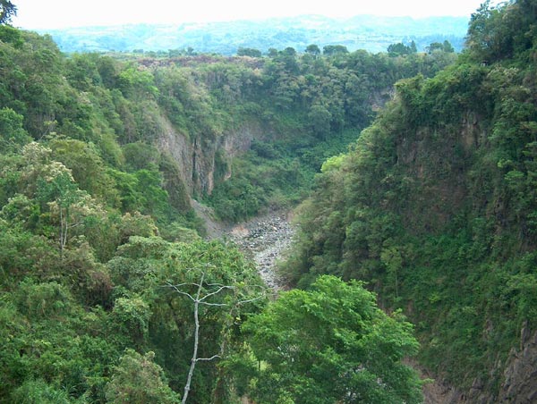 Costa Rica Ravine