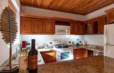 Beach House Nosara - Fully Modern Kitchen