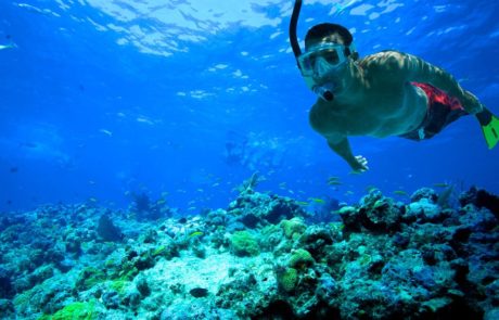 Costa Rica Snorkeling